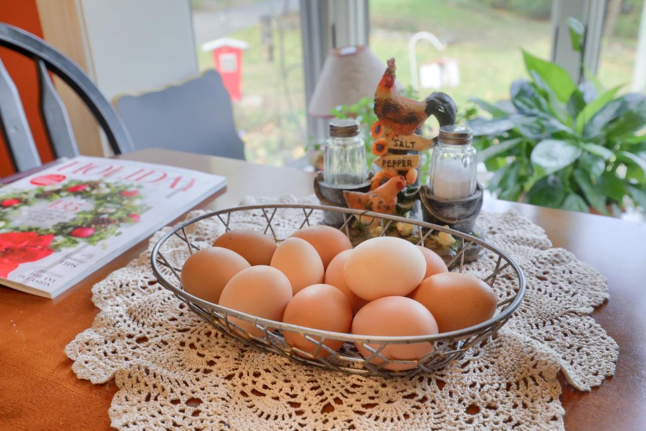 Hammer Creek Hideaway B&B Lititz Zewnętrze zdjęcie